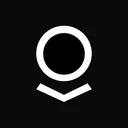Palantir Technologies Inc. logo