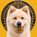 BUDDY - First Crypto Dog logo