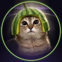 CLAVCAT logo