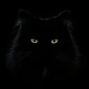Invisible Cat logo