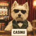 casinu logo