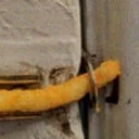 French Fry Security logo