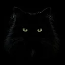 Invisible Cat logo