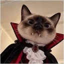 Vamp Cat logo