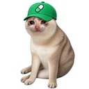 PUMPCAT logo