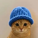 catwifhat logo