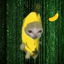 Banana Cat logo