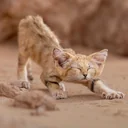 Sand Kitten logo