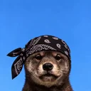 Nigga Inu logo