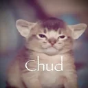 chud cat logo