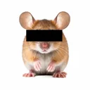 Anonymouse logo