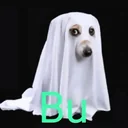 Bu logo