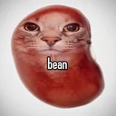 bean cat logo