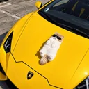 Wen Lambo logo