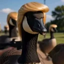 DONALD DUCK logo