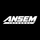 Ansem Integral logo