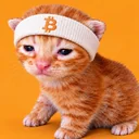 Buy The Cat logo