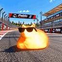 Pablo the Race Cat logo
