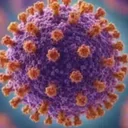 Shamonda virus logo