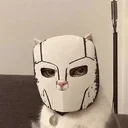 Mask Cat logo
