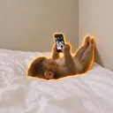 Chilling Ape logo