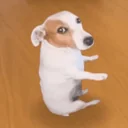 Sitting Dog logo
